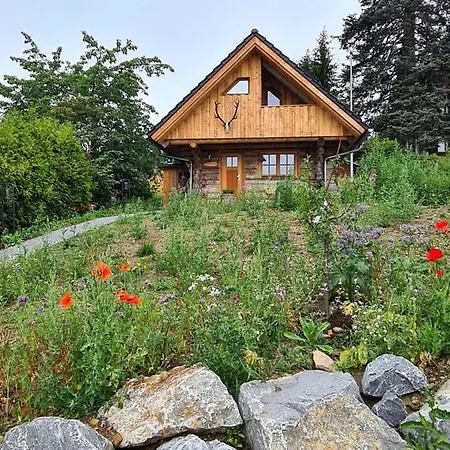 Blockhaus Panhuette Braunlage