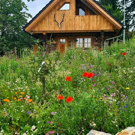 Holiday home Blockhaus Panhuette